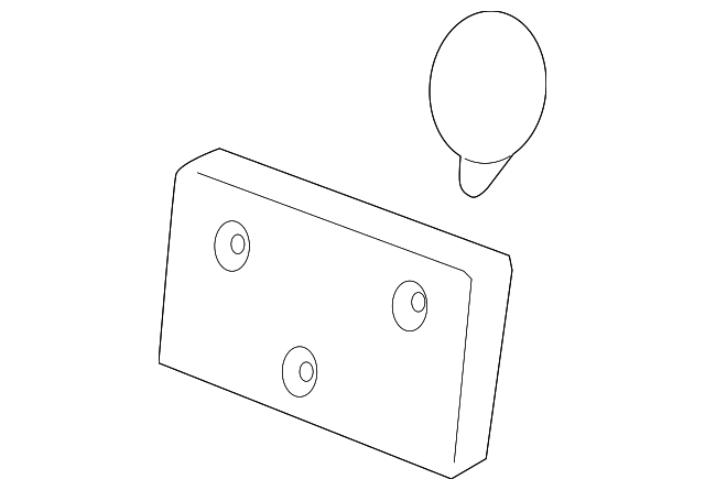 15236173 LICENSE FRAME