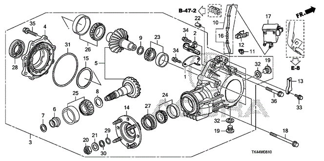 TL MT TRANSFER