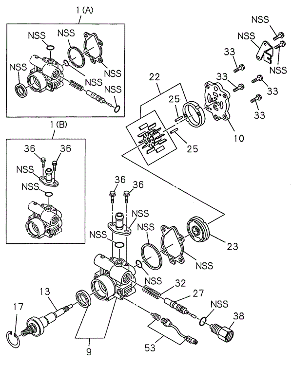PASSPORT P.S. OIL PUMP (TO:9807)