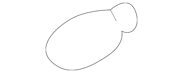 18644-27007-N Деталь STOP LAMP BULB, LEFT