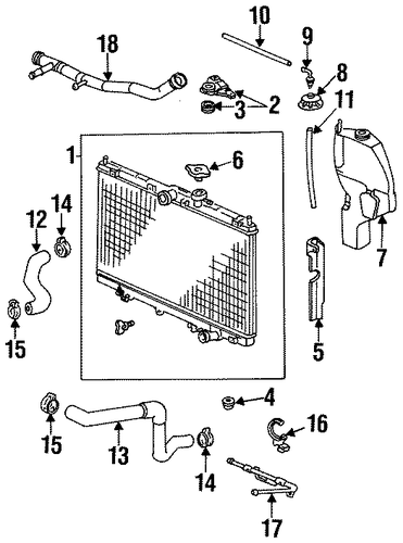 Oasis RADIATOR & COMPONENTS 2