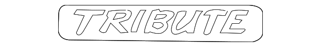 ZZC0-51-771 Деталь NAMEPLATE, RIGHT