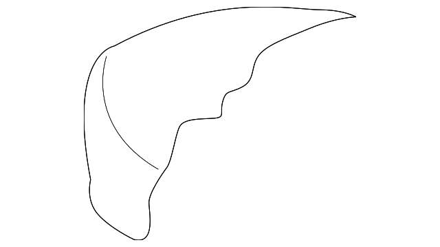 6912A711 Деталь SEAT CUSHION PAD