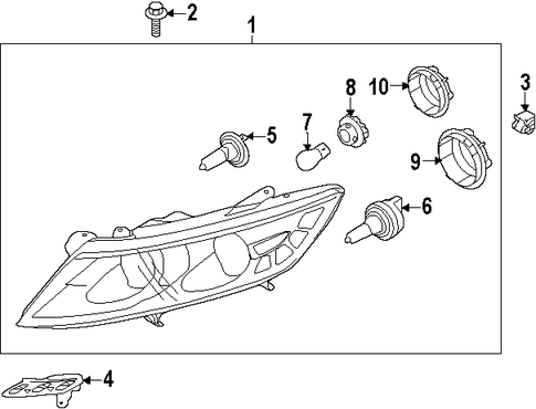 Optima BULBS
