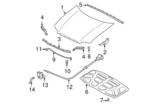 Tribute HOOD & COMPONENTS
