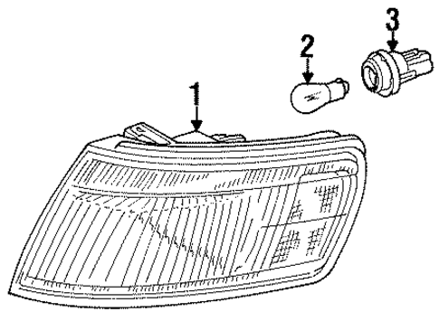 Oasis BULBS - CHASSIS