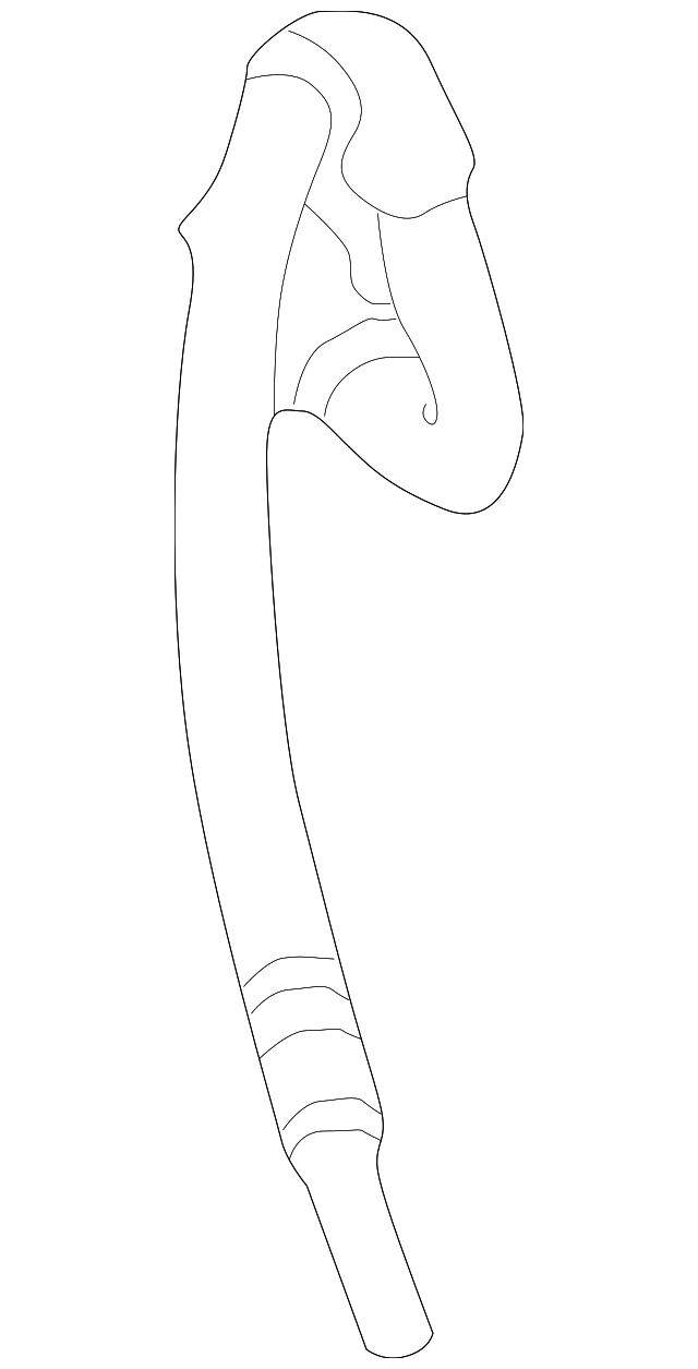 5C3Z-2078-CA BRAKE HOSE, LEFT