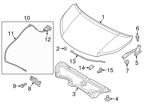 City Express HOOD & COMPONENTS