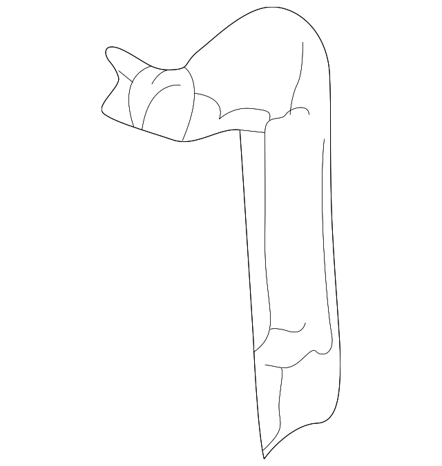 25700929 FRONT REINF, LEFT