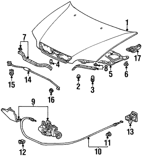 Oasis HOOD & COMPONENTS