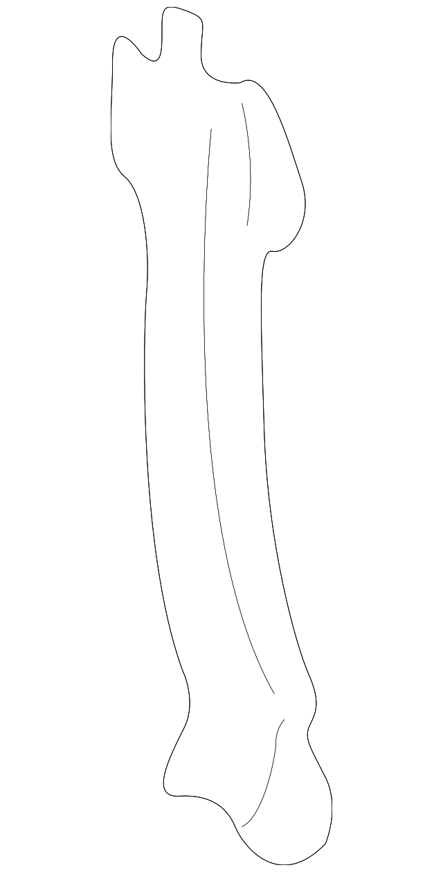 625505Y000 CENTER SUPPORT