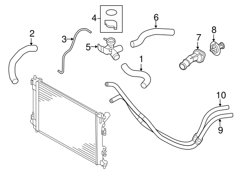 Forte HOSES & LINES