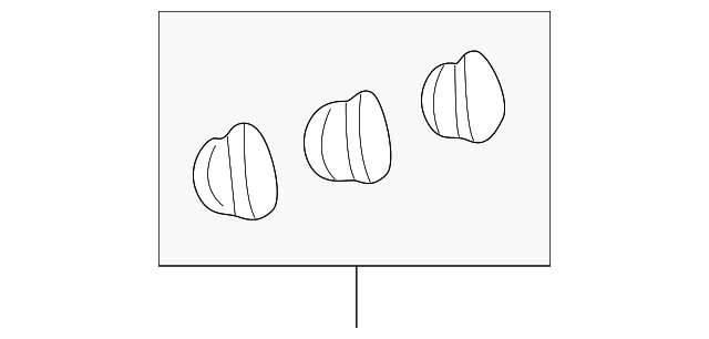 55905-52030 KNOB