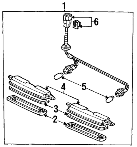 Oasis BULBS - CHASSIS 3