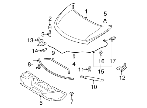 Murano HOOD & COMPONENTS