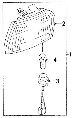 Maxima BULBS - CHASSIS 3