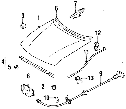 Sephia HOOD & COMPONENTS