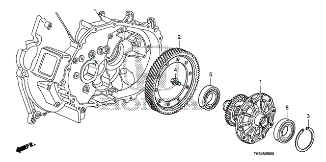 FIT MT DIFFERENTIAL
