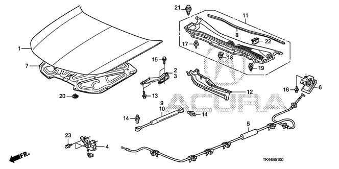 TL ENGINE HOOD