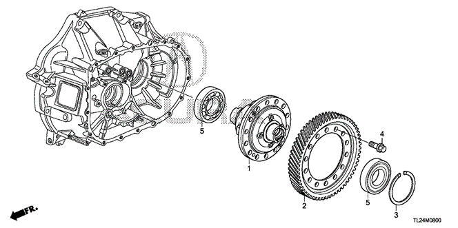 TSX SEDAN MT DIFFERENTIAL