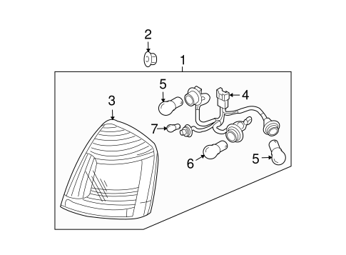 Accent BULBS - CHASSIS 4