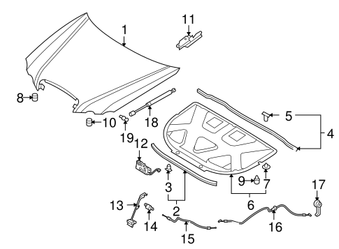 Amanti HOOD & COMPONENTS