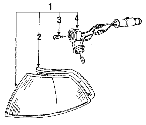 Precis BULBS - CHASSIS 4