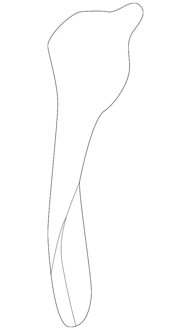 51450FA000 Деталь REAR EXTN, RIGHT