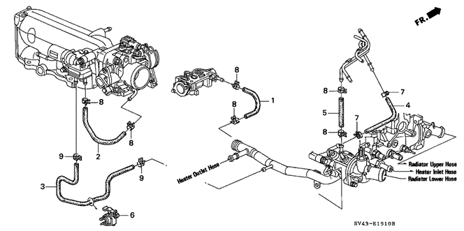 ACCORD SEDAN WATER HOSE (1)