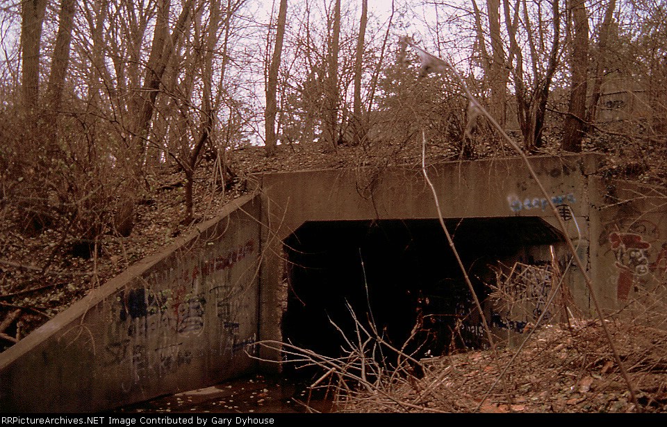 Creve Coeur branch row 6