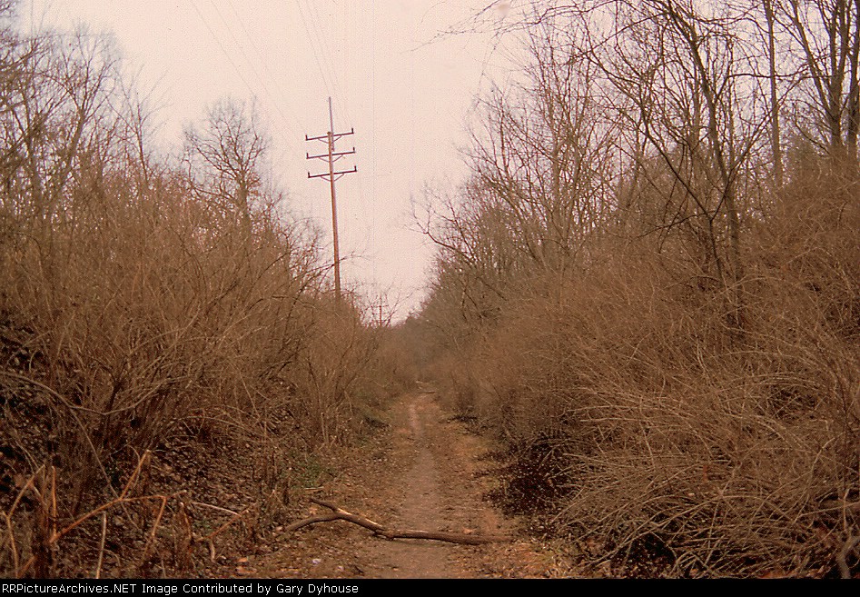 Creve Coeur branch ROW 2