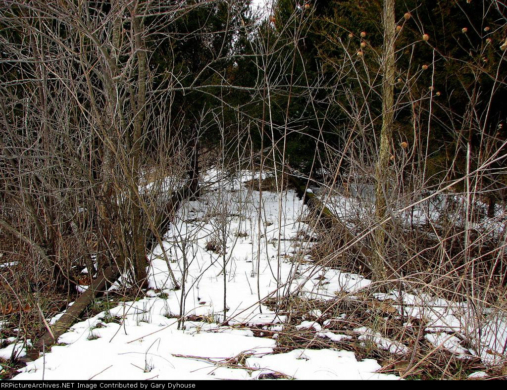 We'll need some brush cutters here