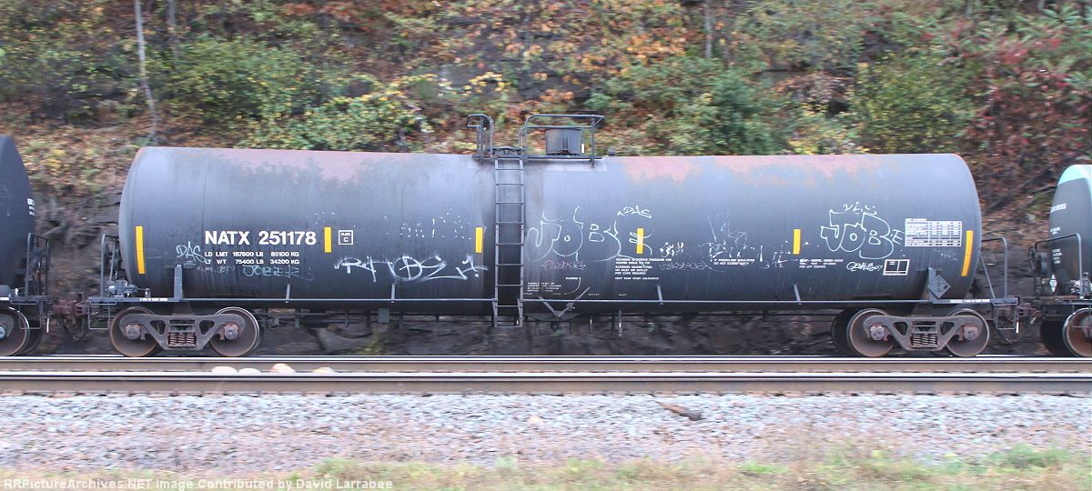 NATX 251178