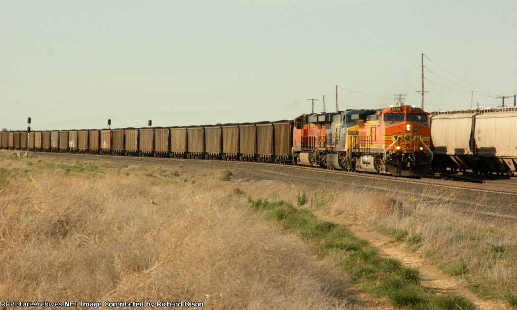 Dog caught a coal train