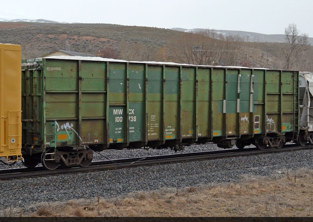 MWCX 100738