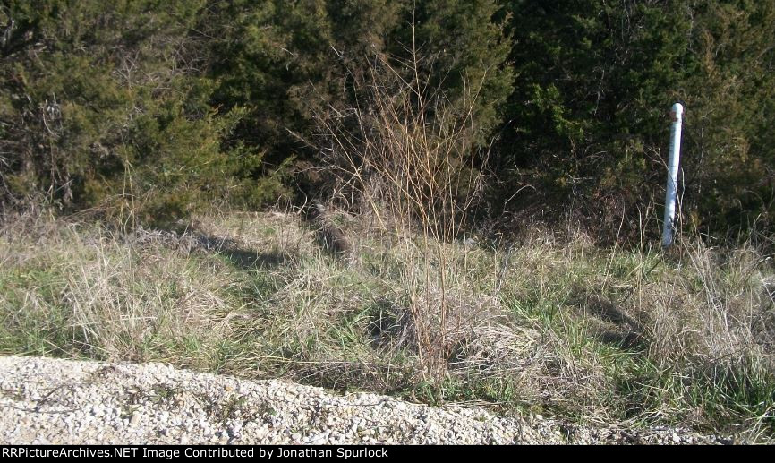 Ex-RI ROW at Holzschuh Rd, close-in view of track, looking east