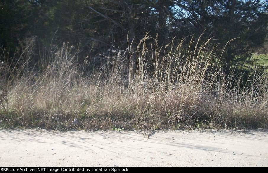 Ex-RI tracks at Holzschuh Rd, looking west