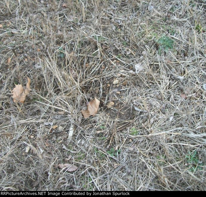 Part of r-o-w, looking west at Hwy Y