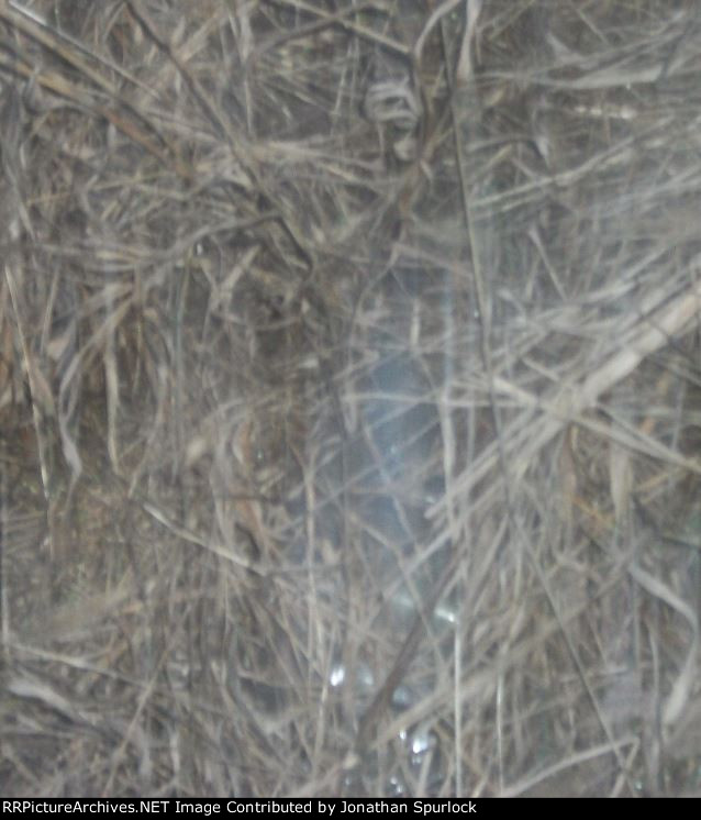 Former grade crossing, looking east at Hwy Y