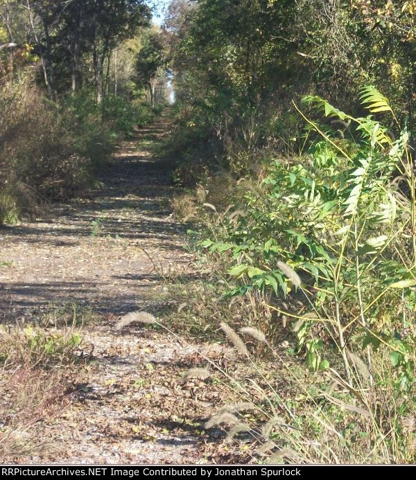 Ex-RI ROW, looking east