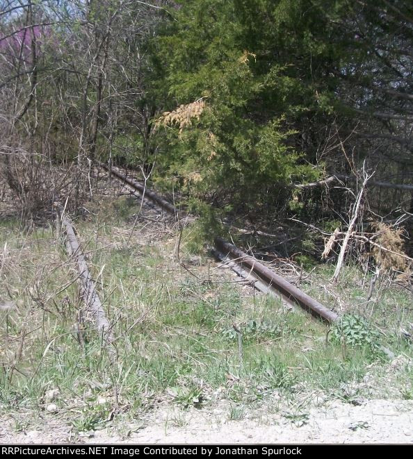 Looking west, ex-RI right of way, view 2