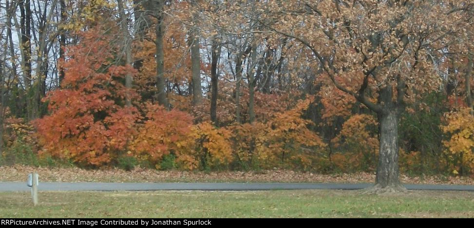 Windsor Farrington Park, looking north