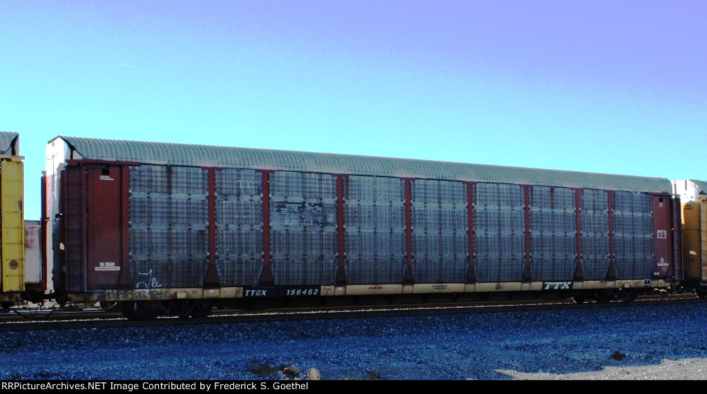 TTGX 156462