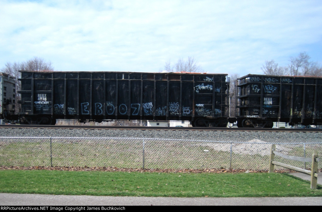 RGEX 4036 and REGX 4006