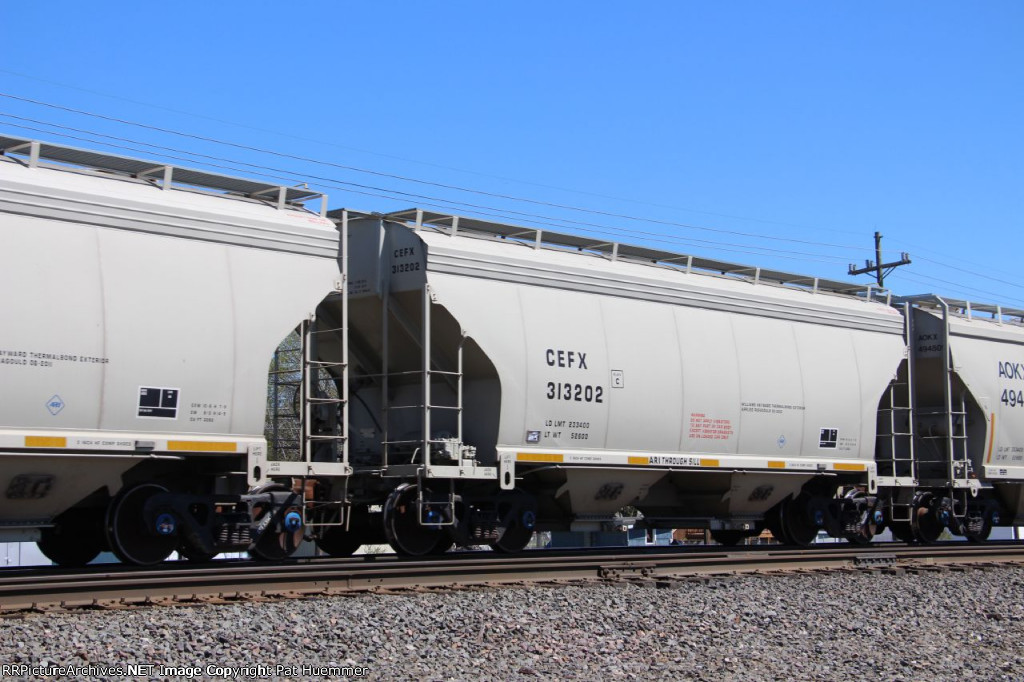 CEFX 313202
