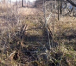 The switch for Oakite Inc.'s southern siding