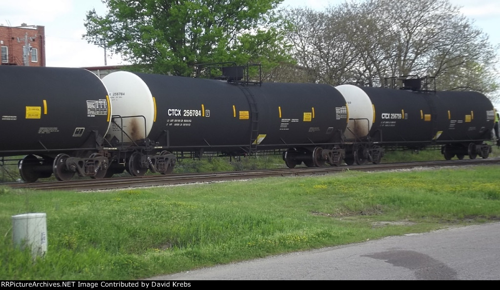 CTCX 256784