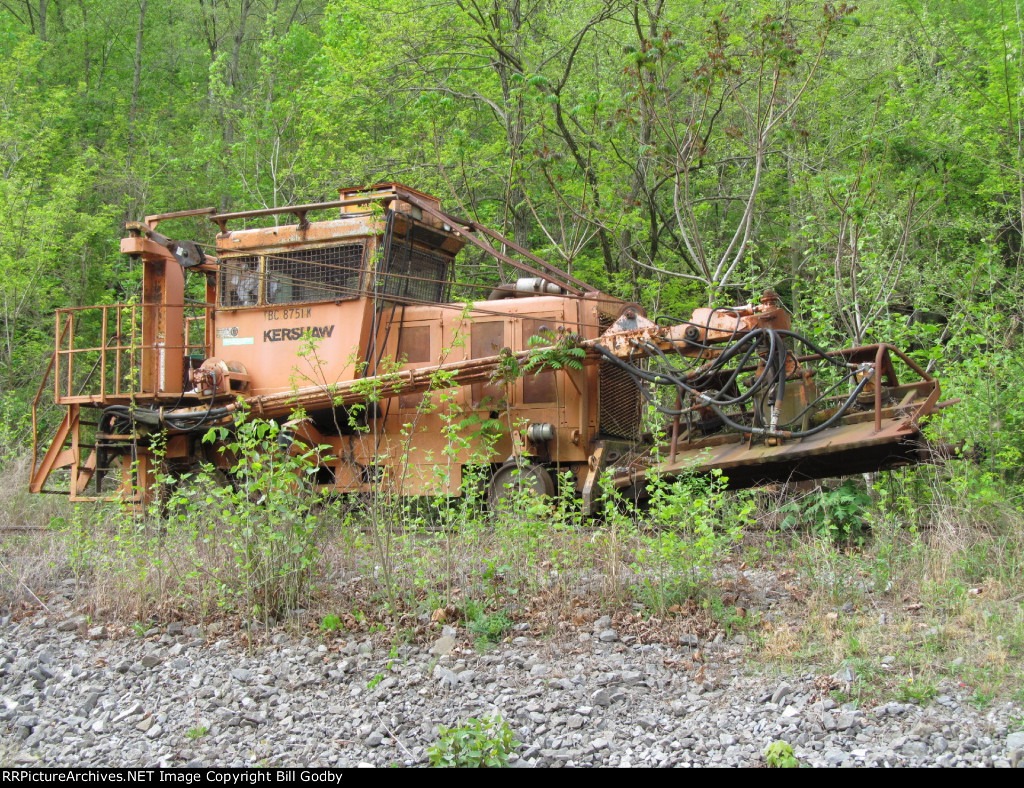 Sitting in the weeds