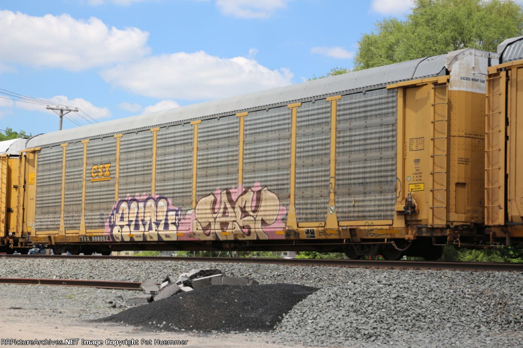 TTGX 988062
