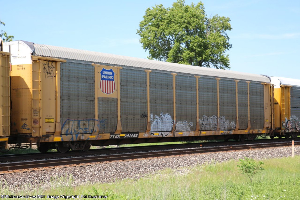 TTGX 981486
